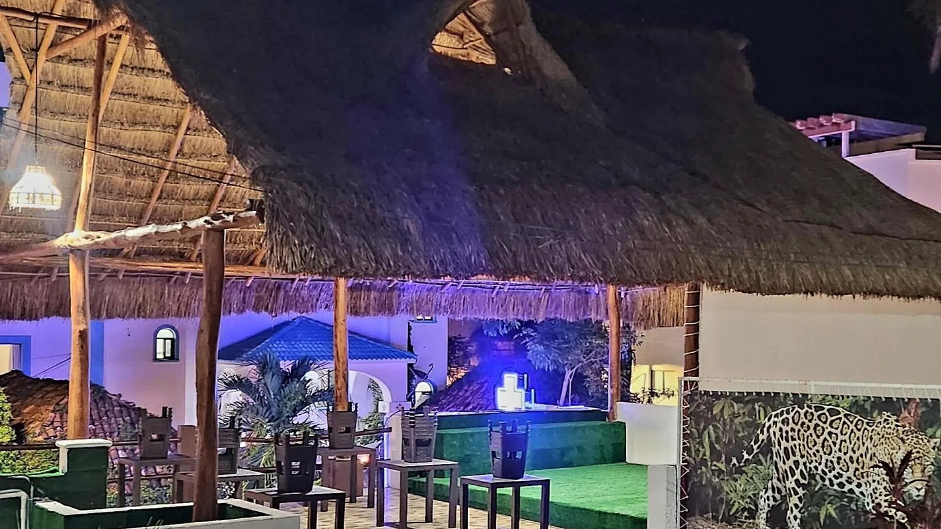 D Margo Hotell Playa del Carmen Mexiko
